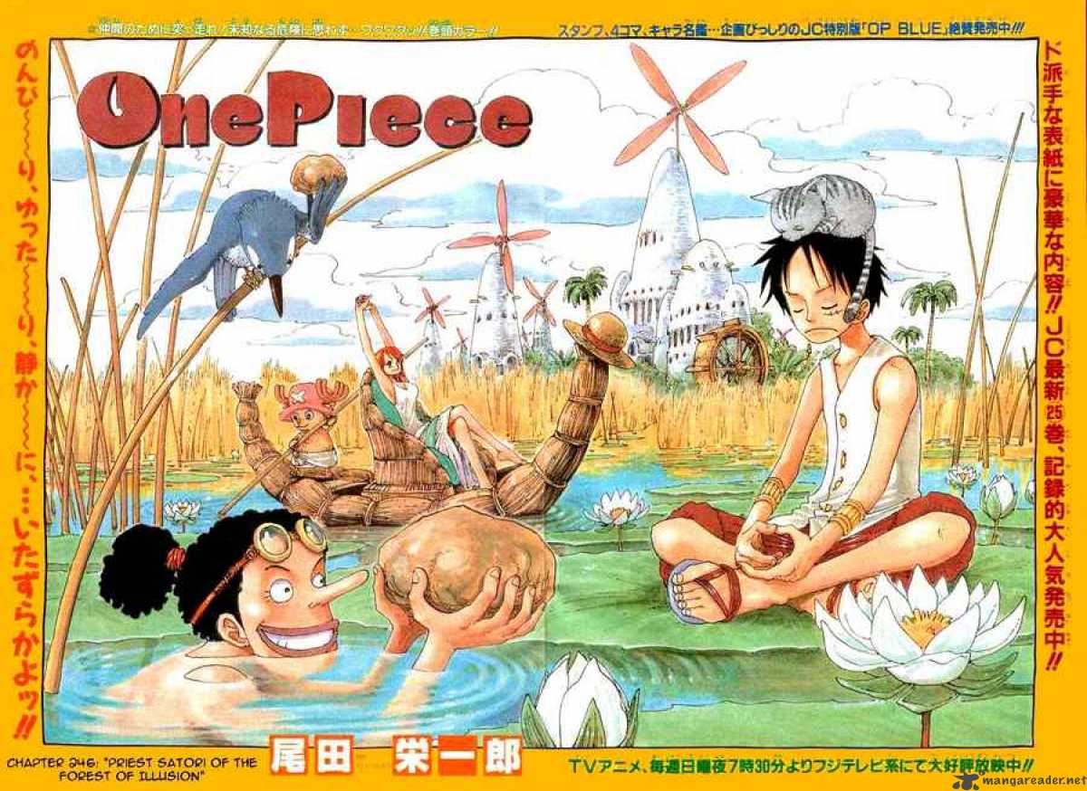 One Piece, Chapter 246 image 001