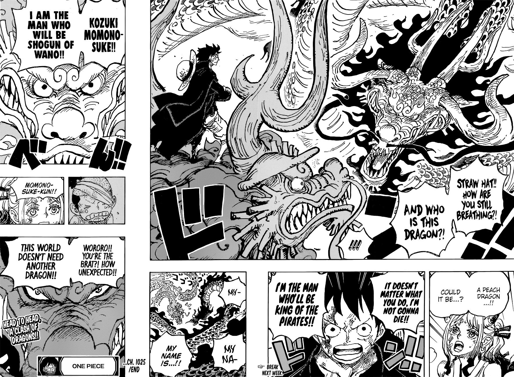 One Piece, Chapter 1025 image 17