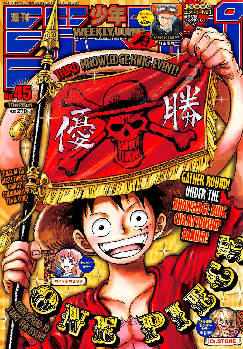 One Piece, Chapter 1028 image one_piece_1028_1