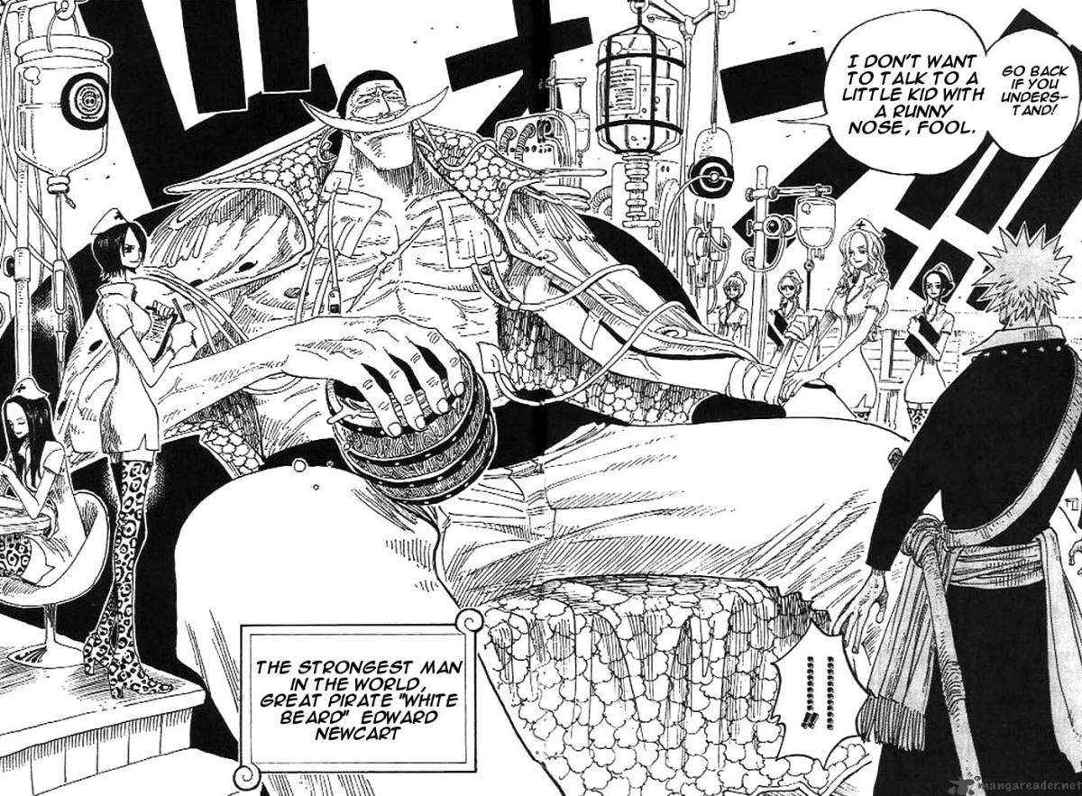 One Piece, Chapter 234 image 012