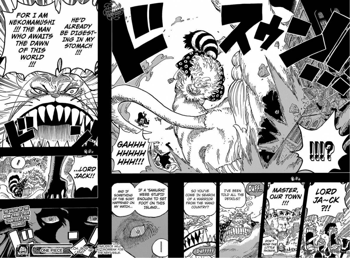 One Piece, Chapter 809 image 018