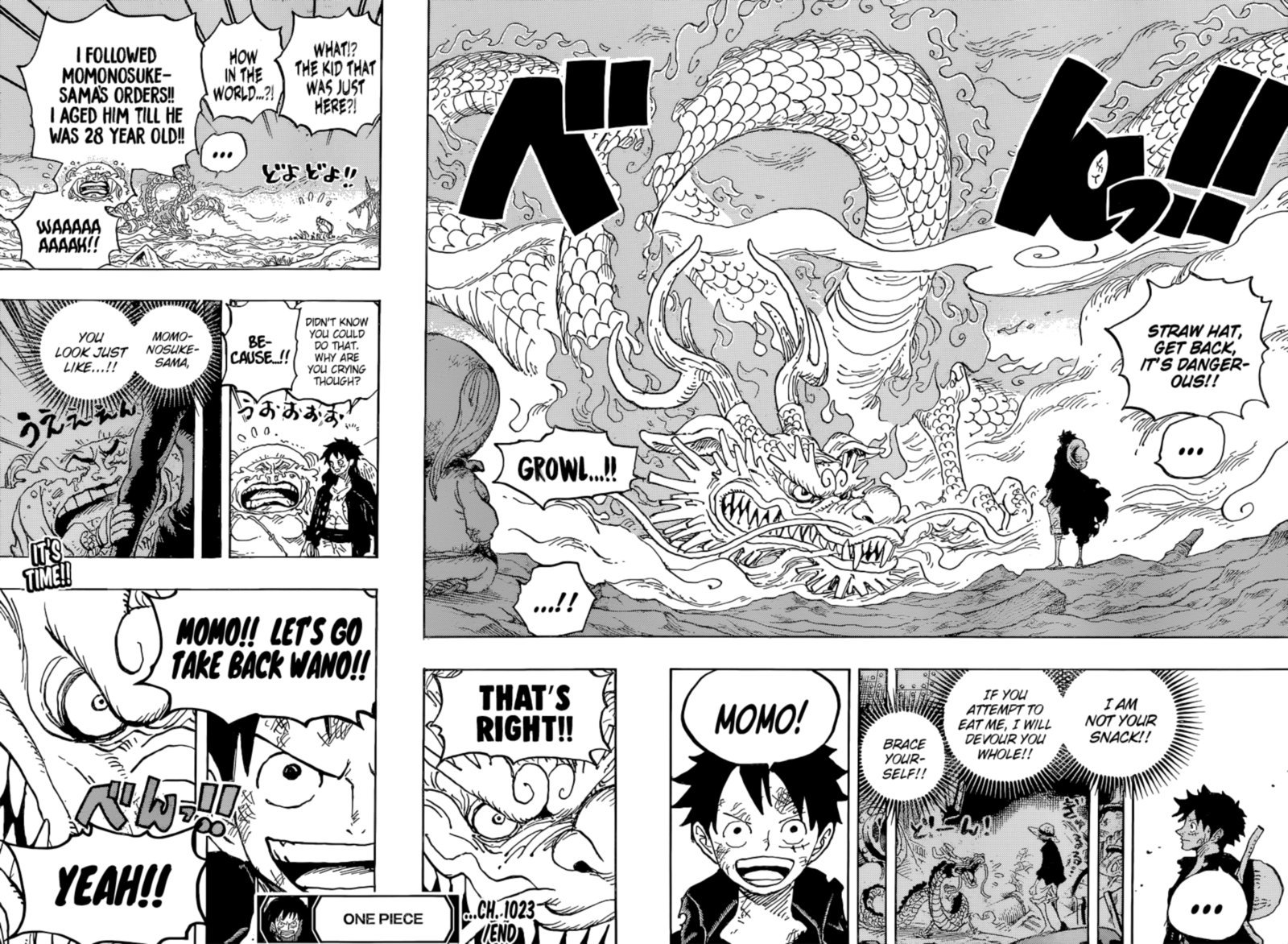 One Piece, Chapter 1023 image one_piece_1023_17