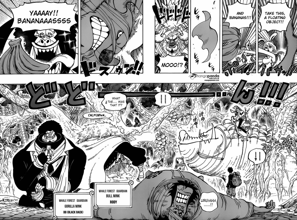 One Piece, Chapter 805 image 010