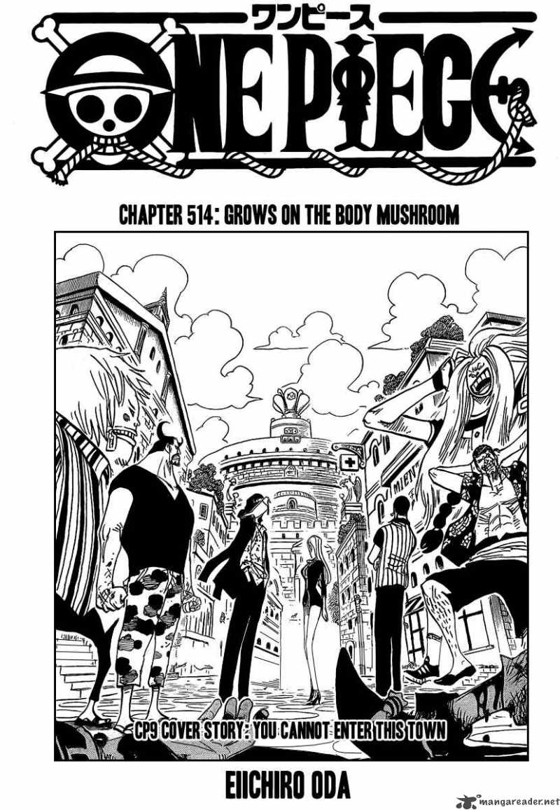 One Piece, Chapter 514 image 001